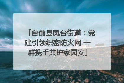 台前县凤台街道：党建引领织密防火网 干群携手共护家园安