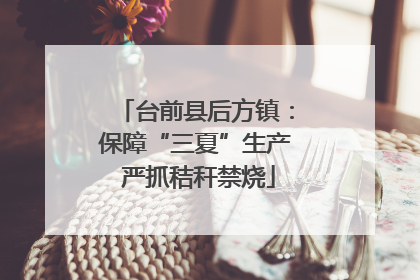 台前县后方镇：保障“三夏”生产 严抓秸秆禁烧