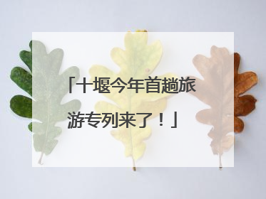 十堰今年首趟旅游专列来了！