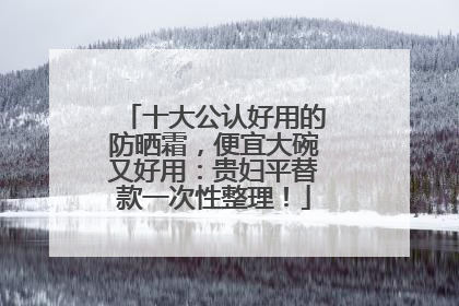 十大公认好用的防晒霜，便宜大碗又好用：贵妇平替款一次性整理！