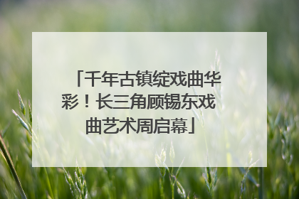 千年古镇绽戏曲华彩！长三角顾锡东戏曲艺术周启幕