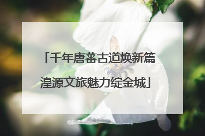 千年唐蕃古道焕新篇 湟源文旅魅力绽金城