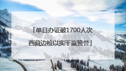 单日办证破1700人次 西藏边检以实干赢赞誉