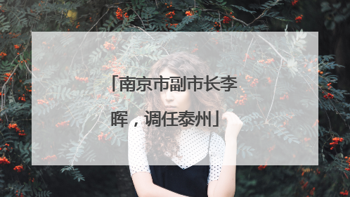 南京市副市长李晖，调任泰州