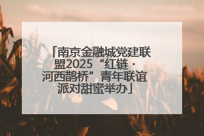 南京金融城党建联盟2025“红链・河西鹊桥”青年联谊派对甜蜜举办