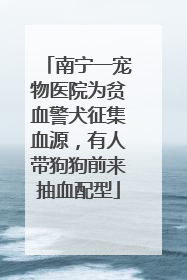 南宁一宠物医院为贫血警犬征集血源，有人带狗狗前来抽血配型