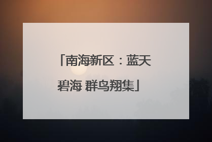 南海新区：蓝天碧海 群鸟翔集