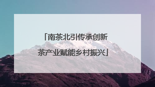 南茶北引传承创新 茶产业赋能乡村振兴