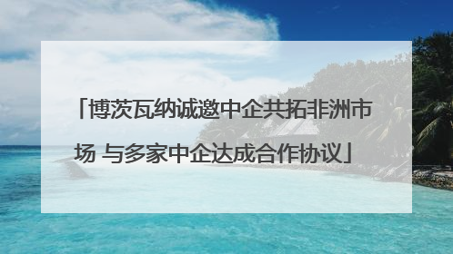 博茨瓦纳诚邀中企共拓非洲市场 与多家中企达成合作协议