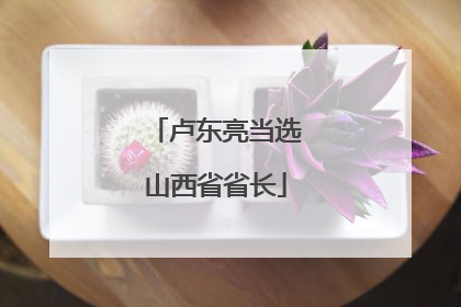 卢东亮当选山西省省长