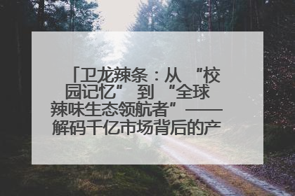 卫龙辣条：从 “校园记忆” 到 “全球辣味生态领航者”——解码千亿市场背后的产品创新与全链路破圈