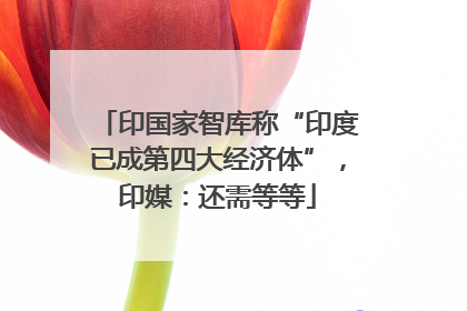 印国家智库称“印度已成第四大经济体”，印媒：还需等等