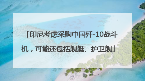 印尼考虑采购中国歼-10战斗机，可能还包括舰艇、护卫舰