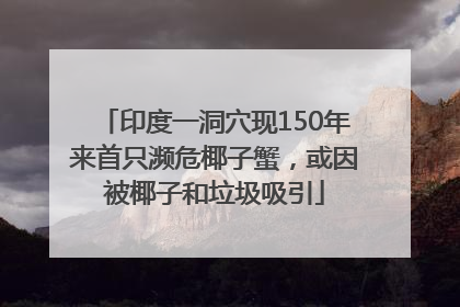 印度一洞穴现150年来首只濒危椰子蟹，或因被椰子和垃圾吸引
