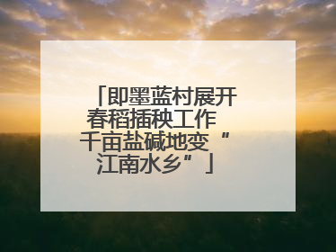 即墨蓝村展开春稻插秧工作 千亩盐碱地变“江南水乡”