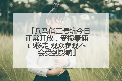 兵马俑三号坑今日正常开放，受损秦俑已移走 观众参观不会受到影响