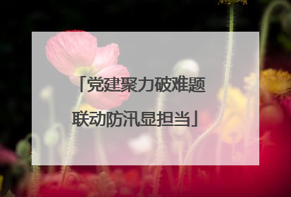 党建聚力破难题 联动防汛显担当