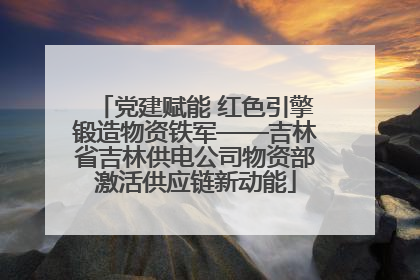 党建赋能 红色引擎锻造物资铁军——吉林省吉林供电公司物资部激活供应链新动能