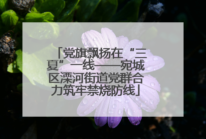 党旗飘扬在“三夏”一线——宛城区溧河街道党群合力筑牢禁烧防线