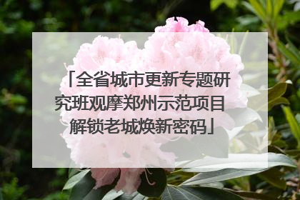 全省城市更新专题研究班观摩郑州示范项目 解锁老城焕新密码