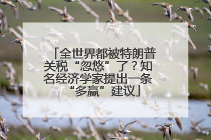 全世界都被特朗普关税“忽悠”了？知名经济学家提出一条“多赢”建议