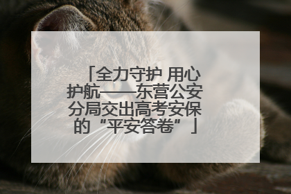 全力守护 用心护航——东营公安分局交出高考安保的“平安答卷”