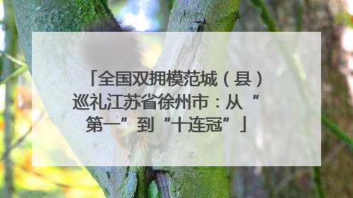 全国双拥模范城（县）巡礼江苏省徐州市：从“第一”到“十连冠”