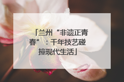兰州“非遗正青春”：千年技艺碰撞现代生活