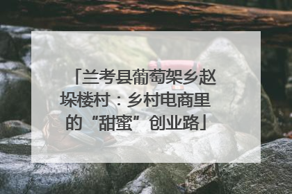 兰考县葡萄架乡赵垛楼村：乡村电商里的“甜蜜”创业路