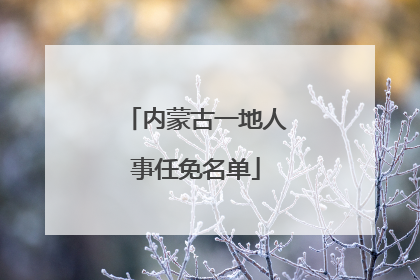 内蒙古一地人事任免名单