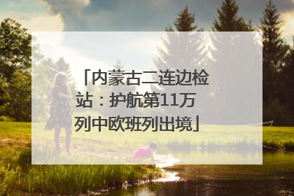 内蒙古二连边检站：护航第11万列中欧班列出境