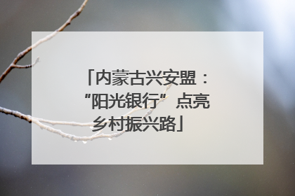 内蒙古兴安盟：“阳光银行”点亮乡村振兴路