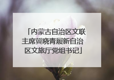 内蒙古自治区文联主席冀晓青履新自治区文旅厅党组书记