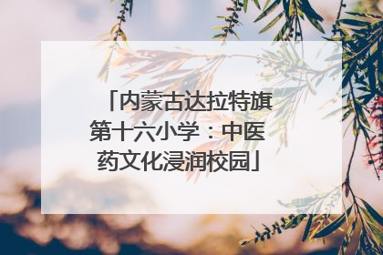 内蒙古达拉特旗第十六小学：中医药文化浸润校园