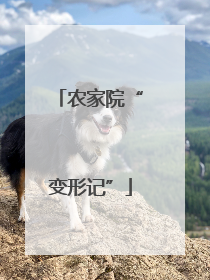 农家院“变形记”