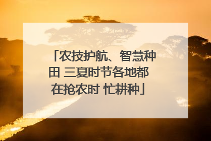 农技护航、智慧种田 三夏时节各地都在抢农时 忙耕种