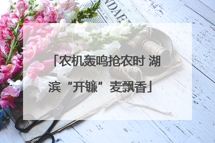 农机轰鸣抢农时 湖滨“开镰”麦飘香