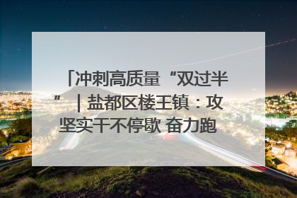 冲刺高质量“双过半”｜盐都区楼王镇：攻坚实干不停歇 奋力跑赢“上半场”