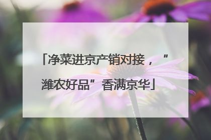 净菜进京产销对接，“潍农好品”香满京华