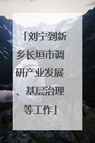 刘宁到新乡长垣市调研产业发展、基层治理等工作
