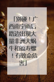 别碰！广西南宁雨后路边出现大量非洲大蜗牛和福寿螺！有致命危害