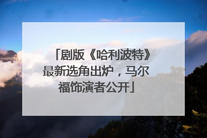 剧版《哈利波特》最新选角出炉，马尔福饰演者公开