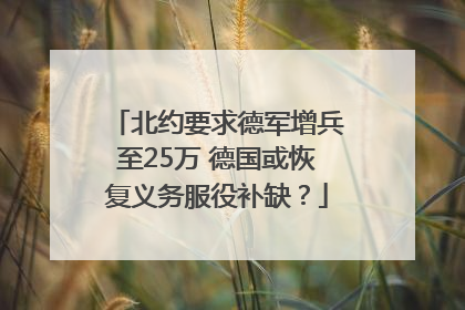 北约要求德军增兵至25万 德国或恢复义务服役补缺？