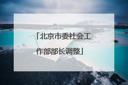 北京市委社会工作部部长调整