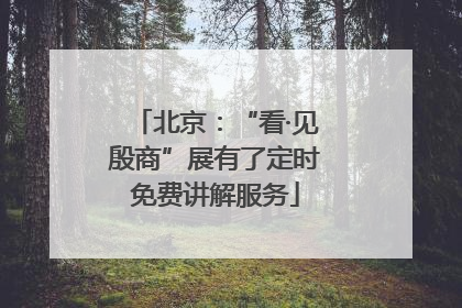 北京：“看·见殷商”展有了定时免费讲解服务