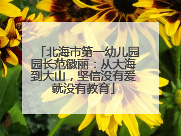 北海市第一幼儿园园长范徽丽：从大海到大山，坚信没有爱就没有教育