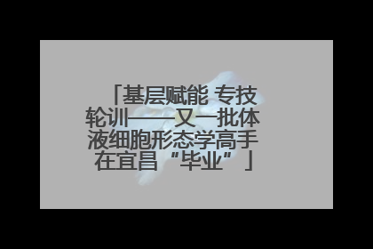 基层赋能 专技轮训——又一批体液细胞形态学高手在宜昌“毕业”