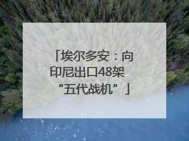 埃尔多安：向印尼出口48架“五代战机”