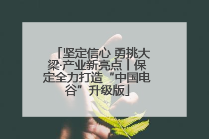 坚定信心 勇挑大梁·产业新亮点丨保定全力打造“中国电谷”升级版