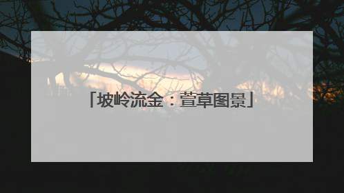 坡岭流金：萱草图景